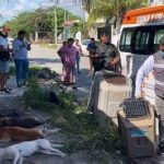 Dos policías fueron asesinados en Tenango del Aire, Estado de México