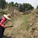 AMLO anuncia aumento salarial del 10% en promedio para maestros